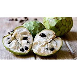 f3d22c0c-b6d6-4d92-8737-0305d7ff5f26-22626-0000119f5901ace7